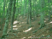 2015 Foto del percorso della Dodicesima edizione della Monte Terminillo Sky Race